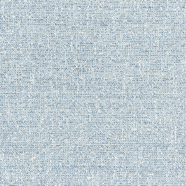 Thibaut CALAIS Sky Fabric