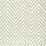 Thibaut ALISO Aloe Fabric