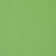 Thibaut LYRA VELVET Grass Fabric