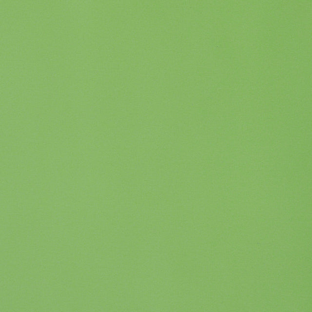 Thibaut LYRA VELVET Grass Fabric