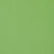 Thibaut Lyra Velvet Grass Fabric