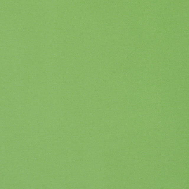 Thibaut Lyra Velvet Grass Fabric