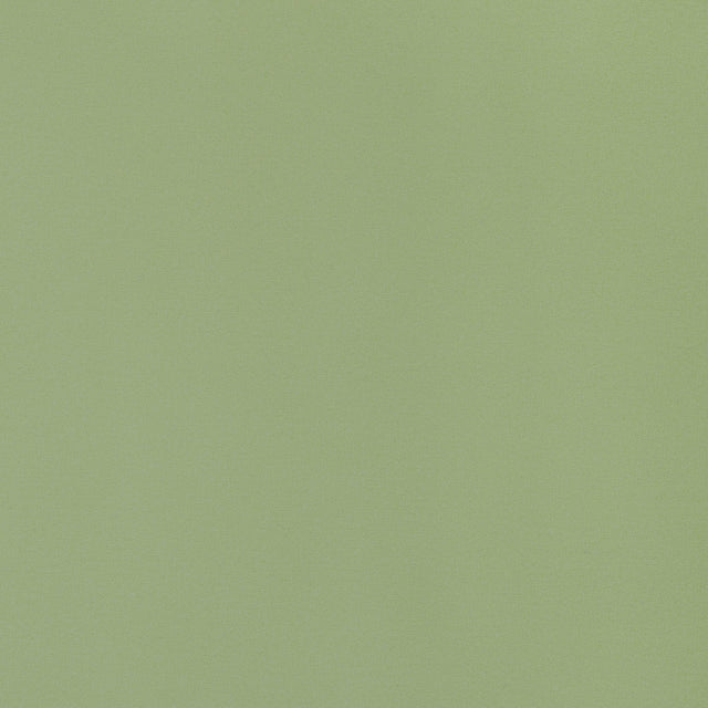 Thibaut LYRA VELVET Moss Fabric