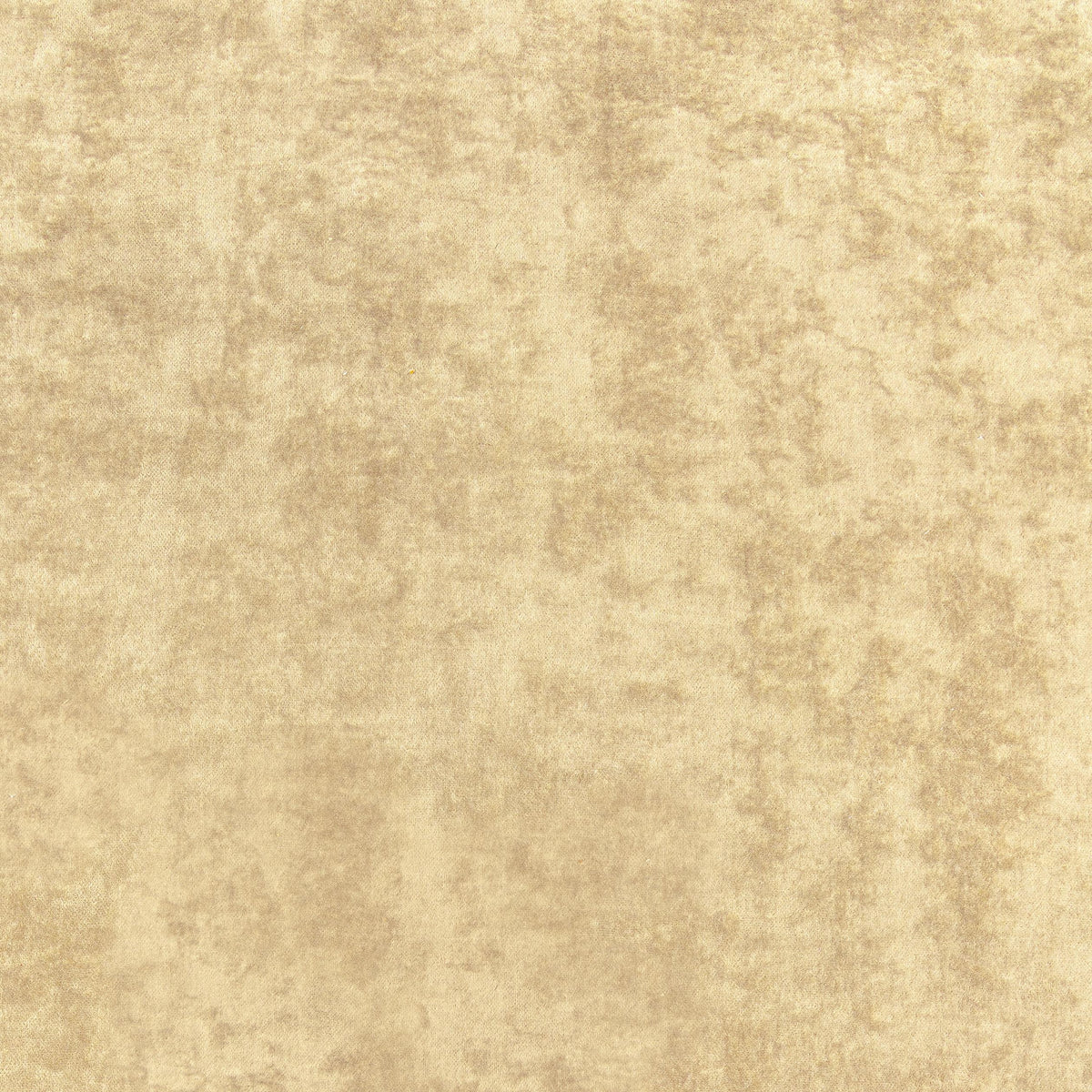 Thibaut Celeste Velvet Camel Fabric