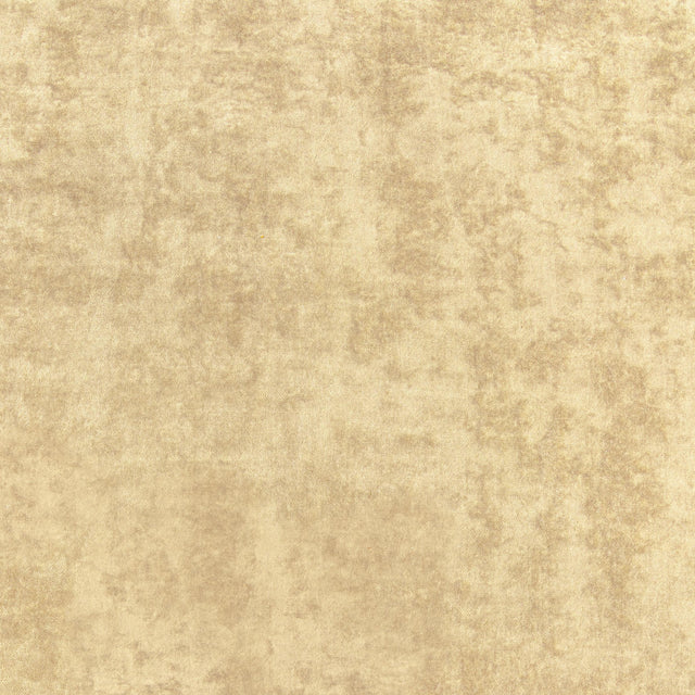 Thibaut Celeste Velvet Camel Fabric