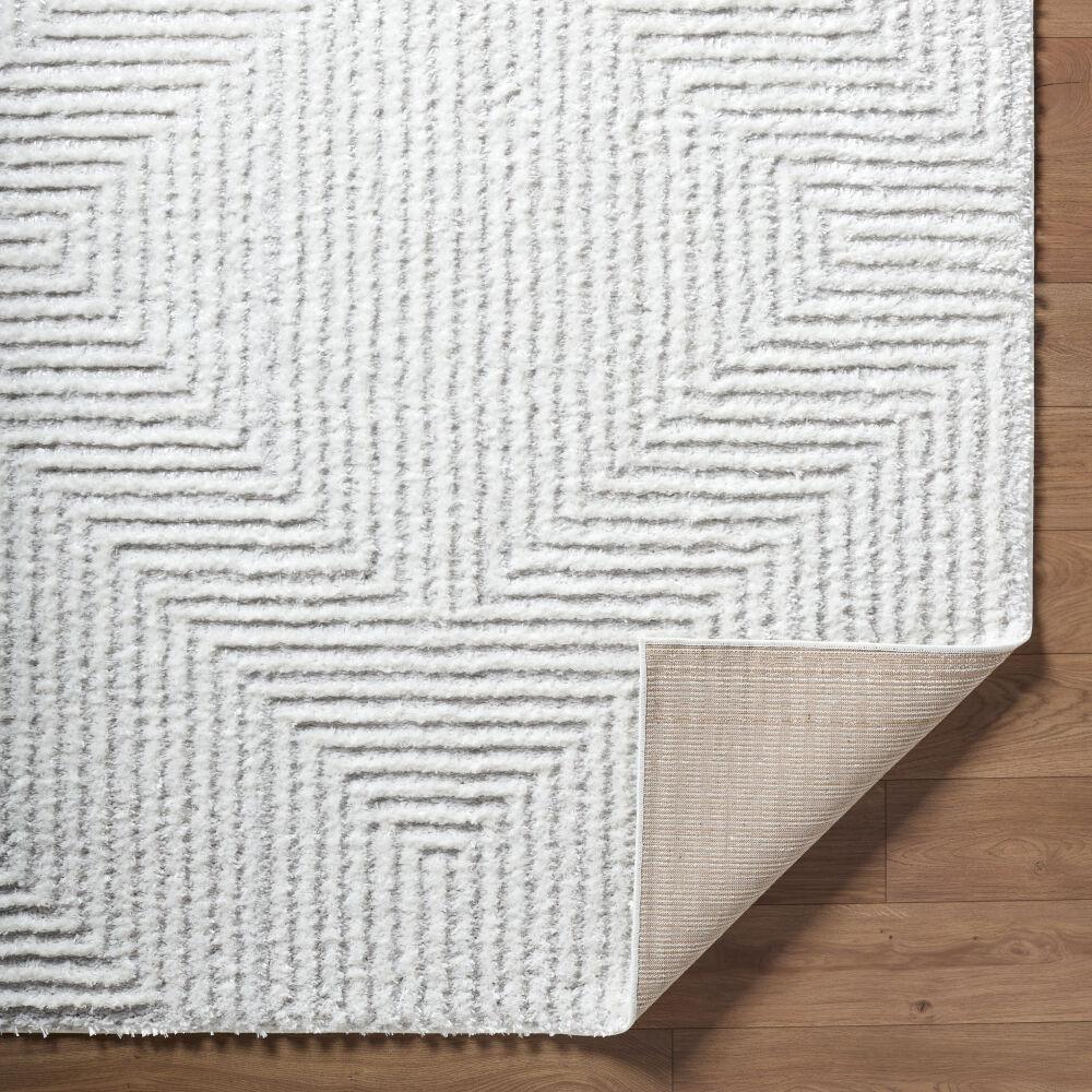 Livabliss Nomadic NMC-2326 5'3" x 7' Machine Woven Rug