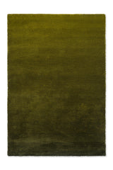 Brink & Campman Shade Low Olive/Deep Forest 6'7 x 9'8 Rug