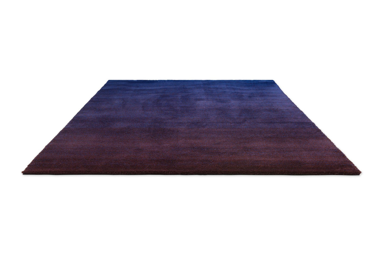 Brink & Campman Shade Low Electric Blue/Aubergine 6'7 x 9'8 Rug
