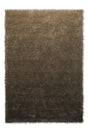Brink & Campman Shade High Beige/Dark Chocolate 8'2 x 11'6 Rug