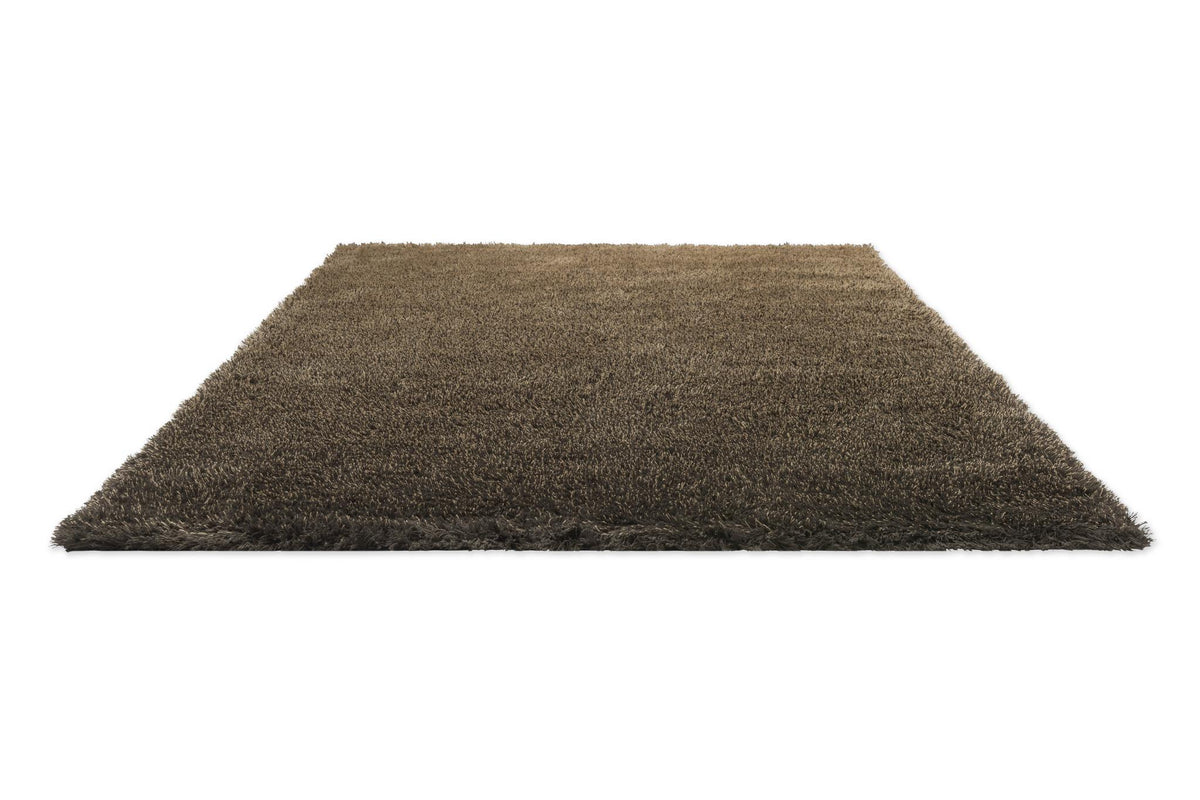 Brink & Campman Shade High Beige/Dark Chocolate 5'7 x 7'10 Rug