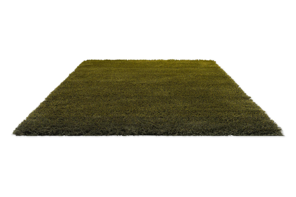 Brink & Campman Shade High Olive/Deep Forest 5'7 x 7'10 Rug