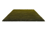 Brink & Campman Shade High Olive/Deep Forest 6'7 x 9'8 Rug