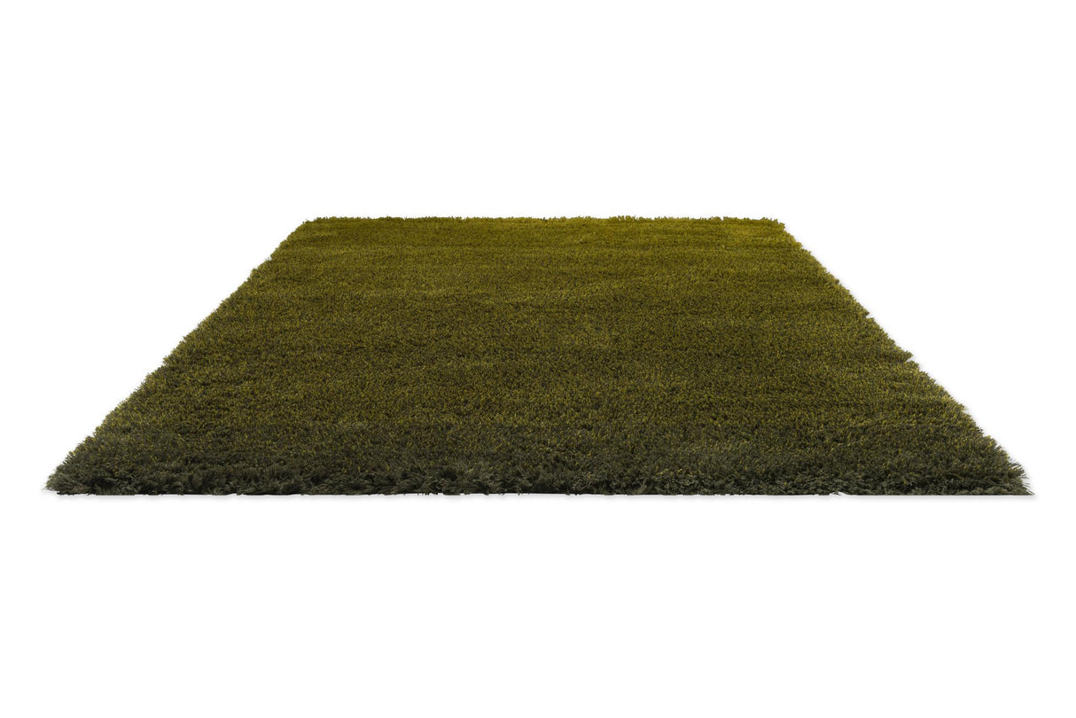 Brink & Campman Shade High Olive/Deep Forest 8'2 x 11'6 Rug