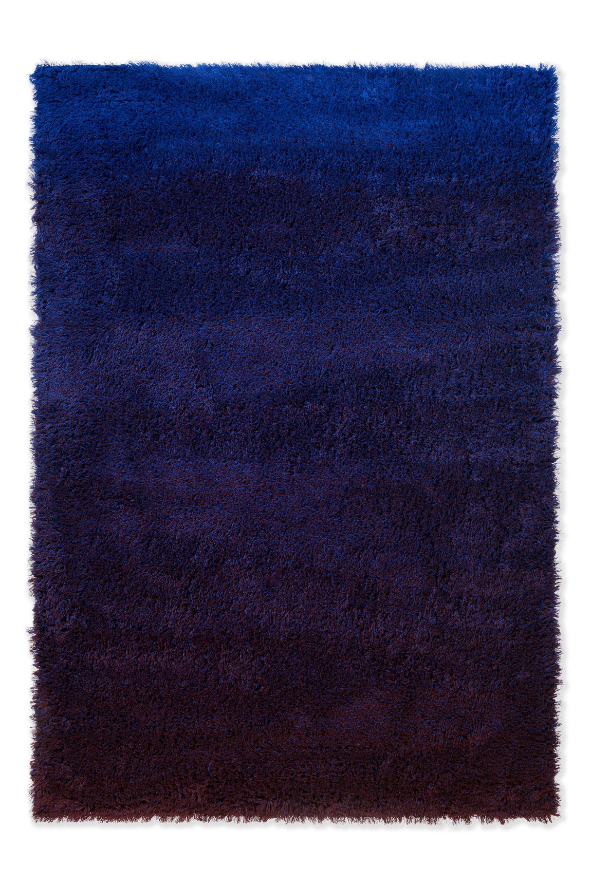 Brink & Campman Shade High Electric Blue/Aubergine 8'2 x 11'6 Rug