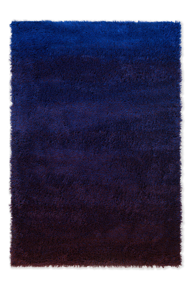 Brink & Campman Shade High Electric Blue/Aubergine 8'2 x 11'6 Rug