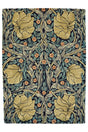 Brink & Campman Pimpernel MOR  Indigo 5'7 x 7'10 Rug