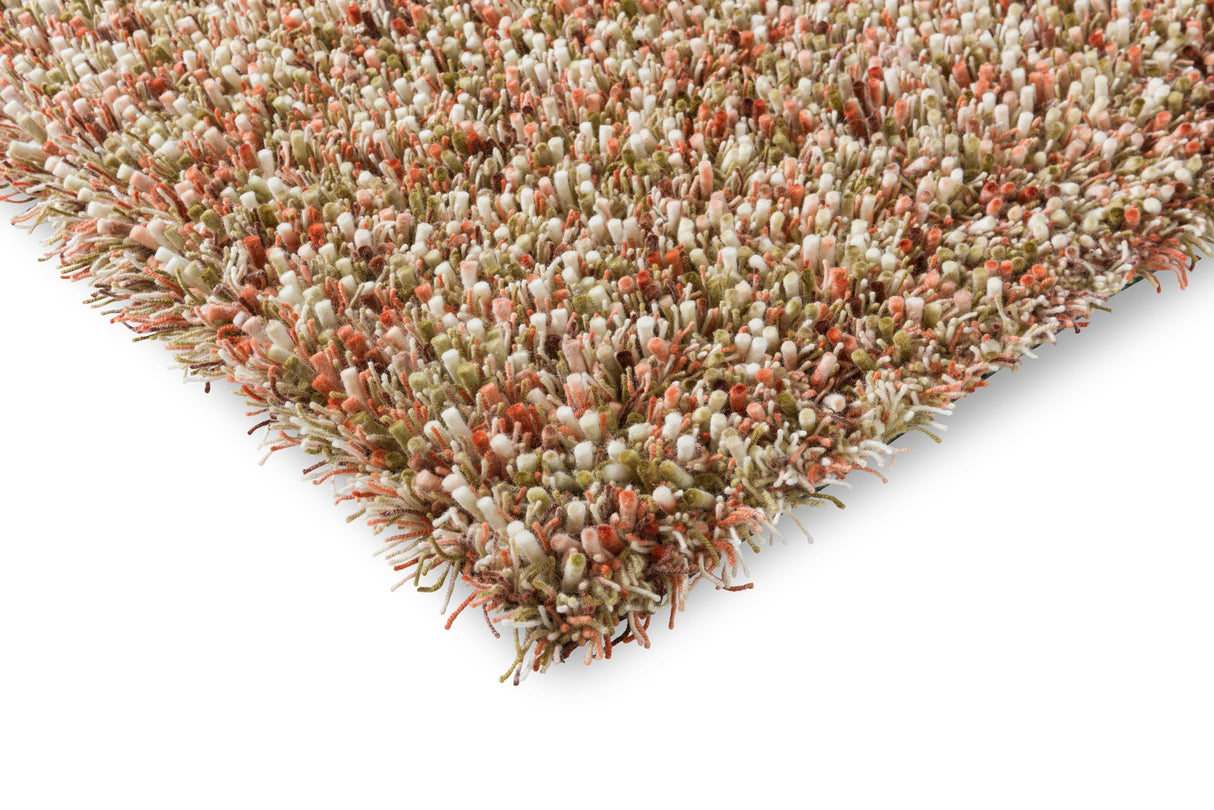 Brink & Campman Spring Pumpkin 8'2 x 11'6 Rug
