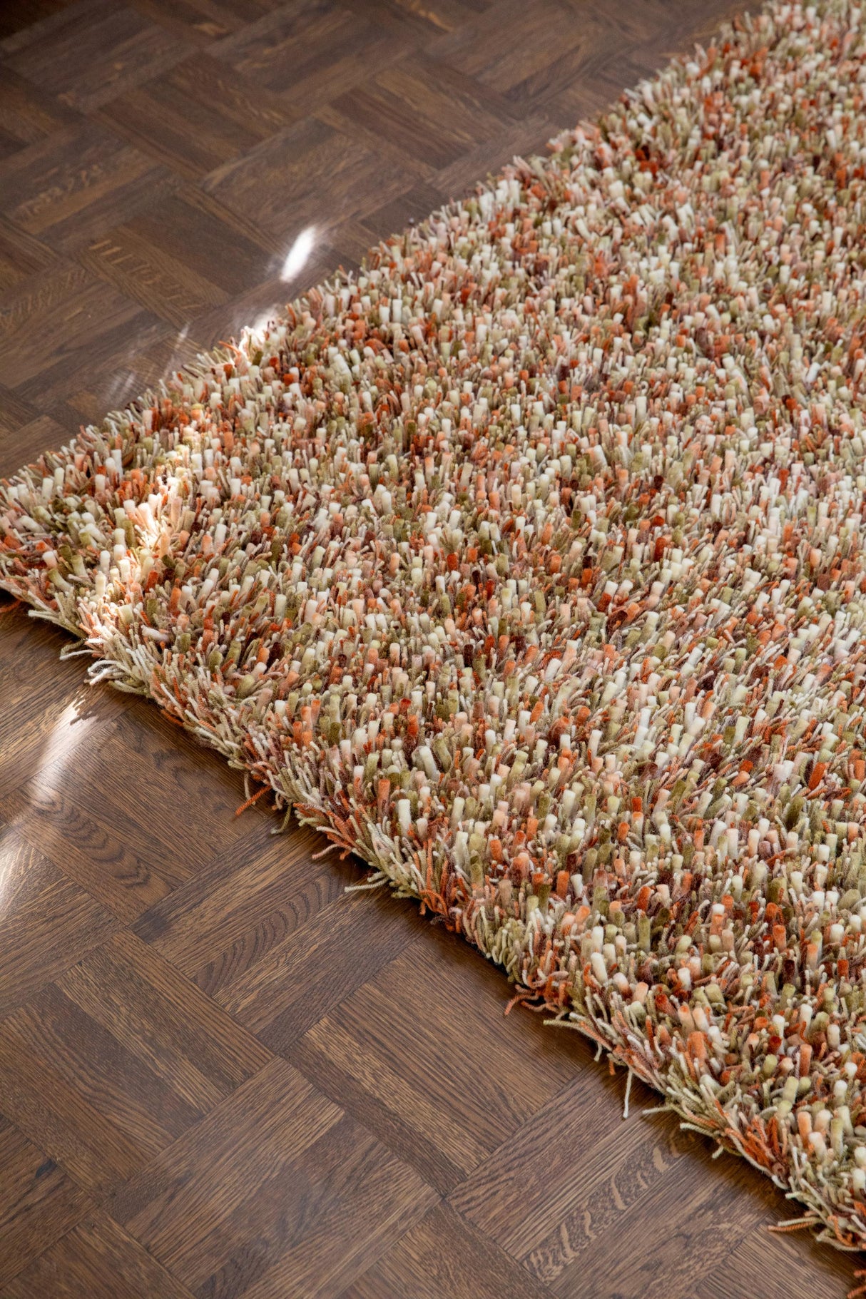 Brink & Campman Spring Pumpkin 6'7 x 9'8 Rug