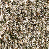 Brink & Campman Spring Moss 4'7 x 6'7 Rug