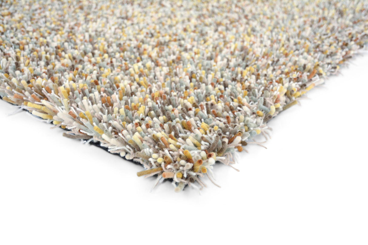 Brink & Campman Young Chutney 4'7 x 6'7 Rug