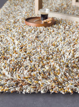 Brink & Campman Young Chutney 5'3 x 7'6 Rug