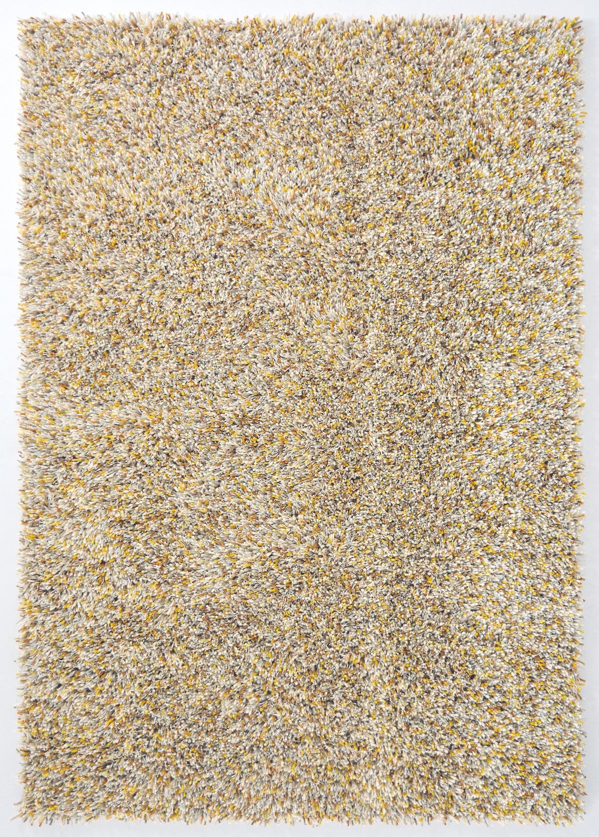 Brink & Campman Young Chutney 8'2 x 11'6 Rug