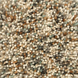 Brink & Campman Pop Art Pop-art Natural 5'3 x 7'6 Rug