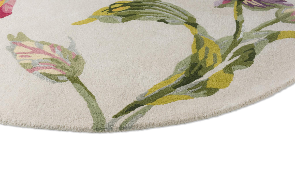 Brink & Campman Gosford LA  Cranberry 5'7 x 7'10 Rug