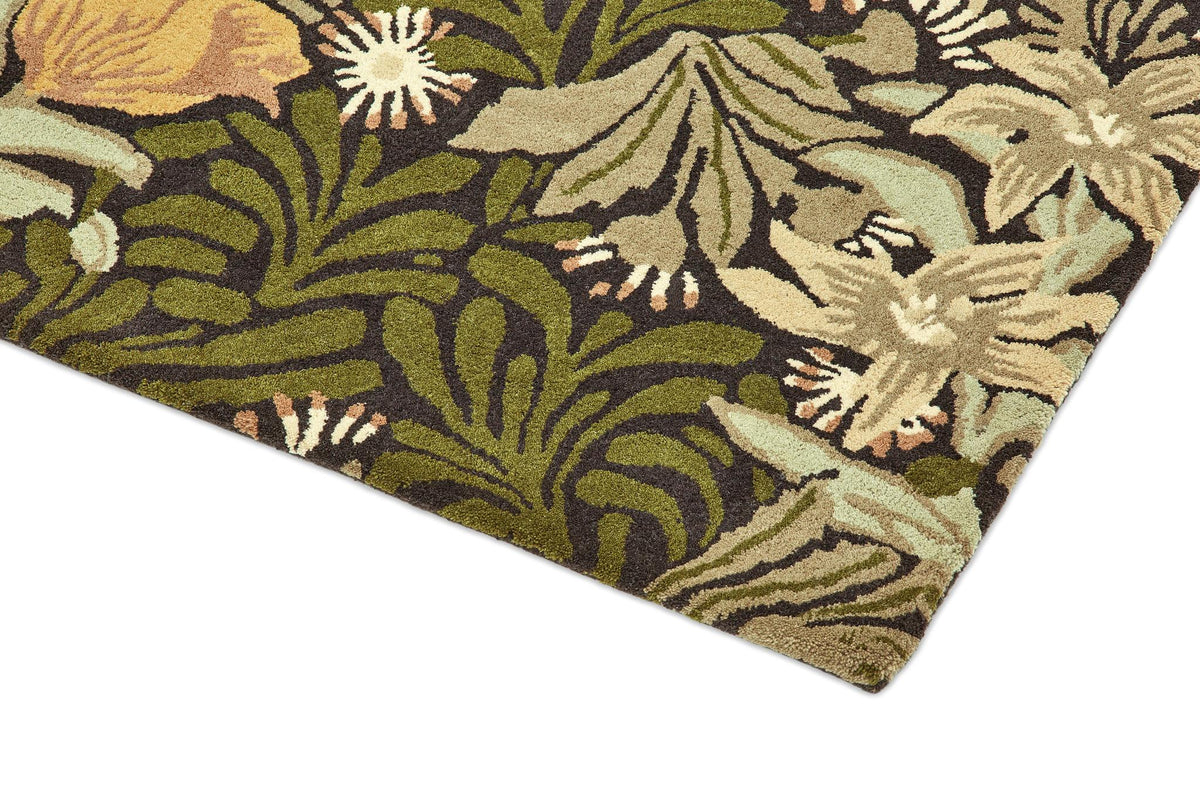 Brink & Campman Bower MOREW  Twining Vine Green 4'7 x 6'7 Rug