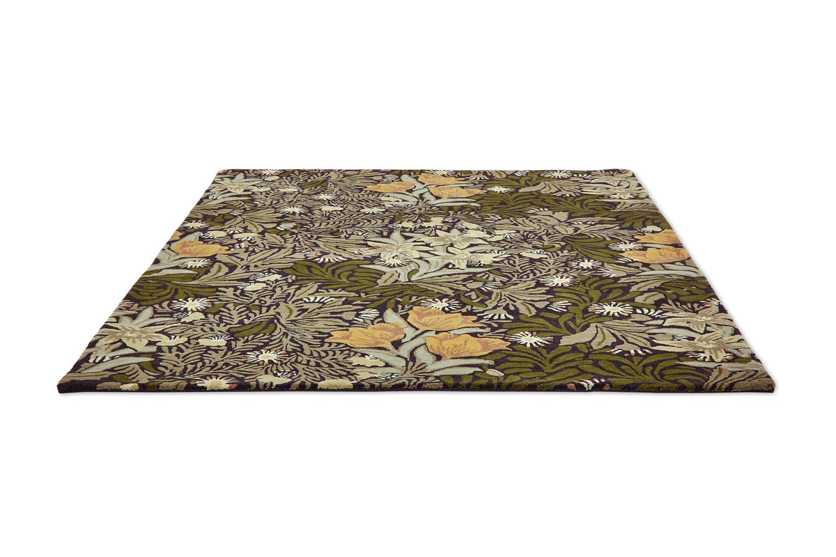 Brink & Campman Bower MOREW  Twining Vine Green 4'7 x 6'7 Rug