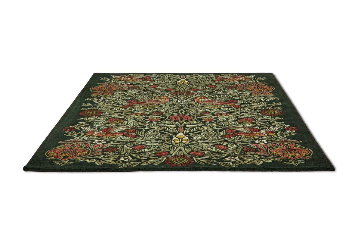 Brink & Campman Bird MOREW  Tump Green 5'7 x 7'10 Rug