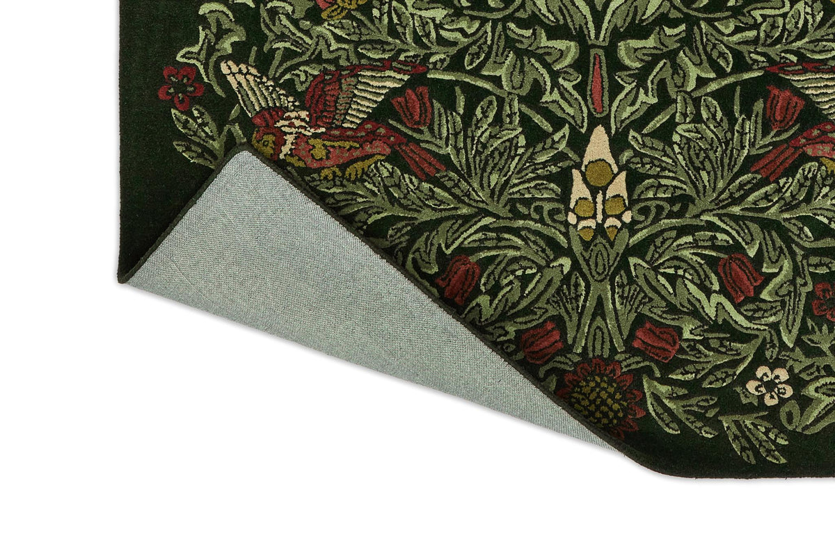 Brink & Campman Bird MOREW  Tump Green 8'2 x 11'6 Rug