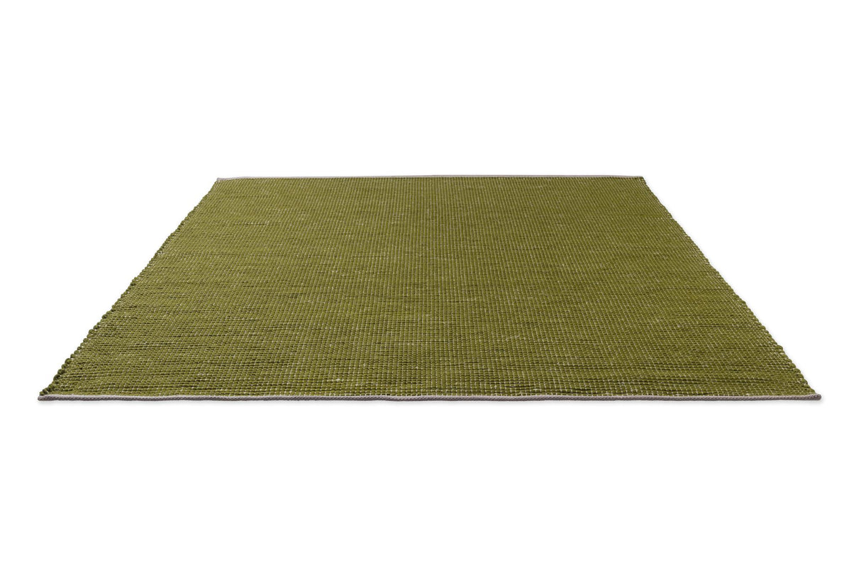 Brink & Campman Frame Leaf 5'7 x 7'10 Rug