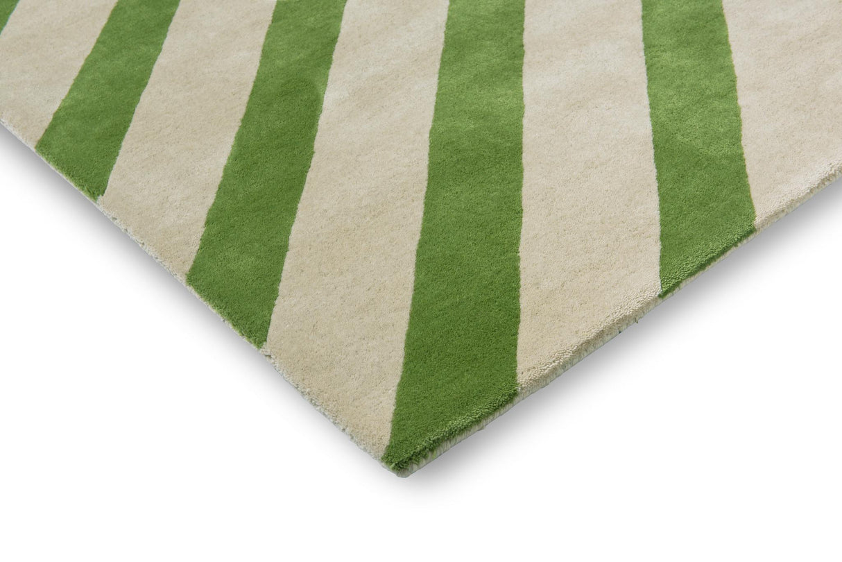 Brink & Campman Paper Straw HARSR  Peridot 8'2 x 11'6 Rug