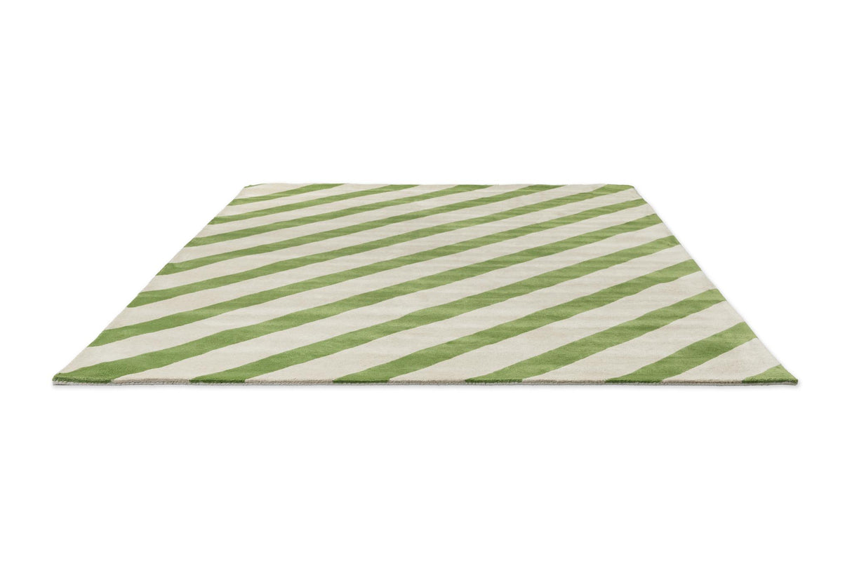 Brink & Campman Paper Straw HARSR  Peridot 8'2 x 11'6 Rug