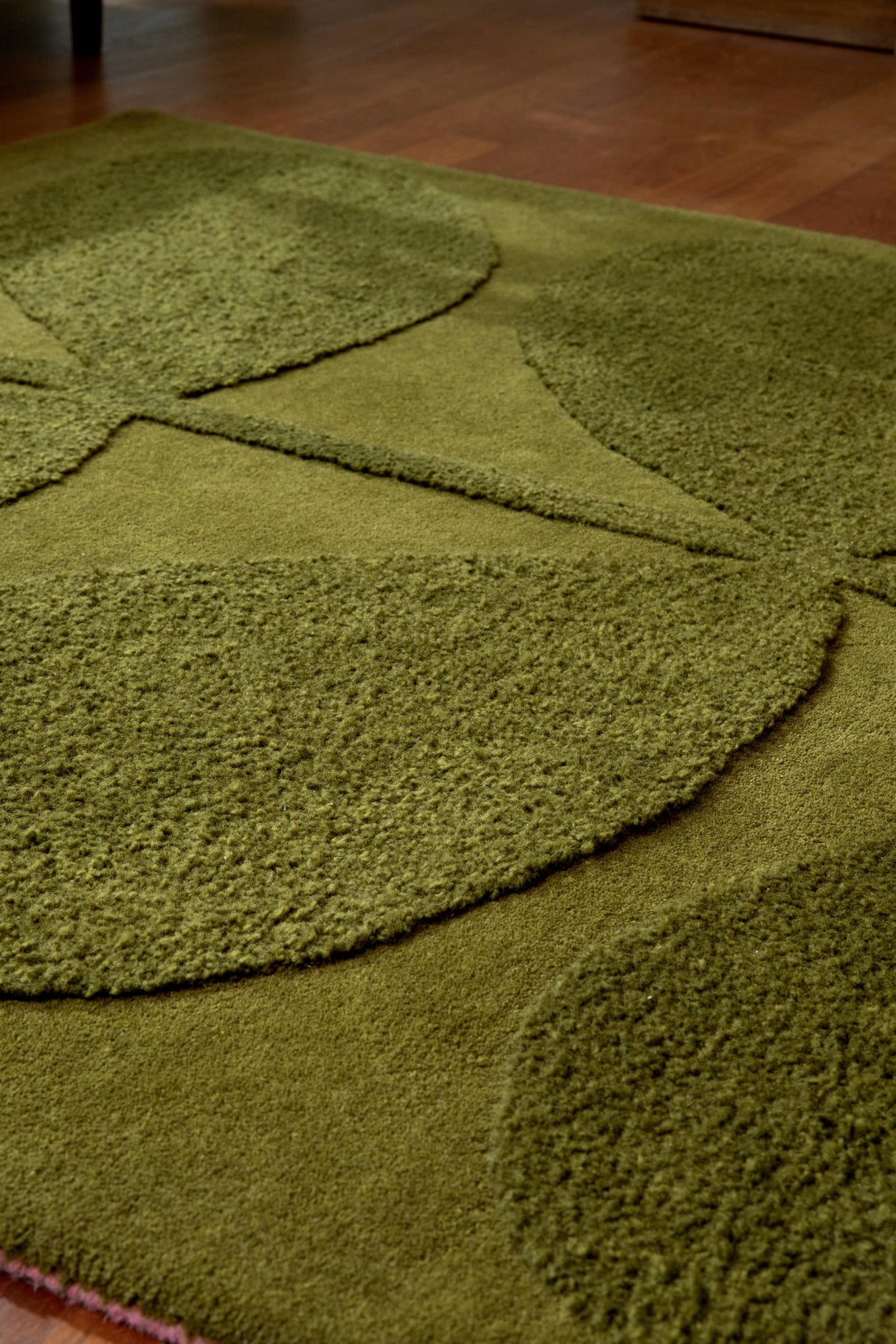 Brink & Campman Solid Stem OR  Fern 3'9 x 5'9 Rug