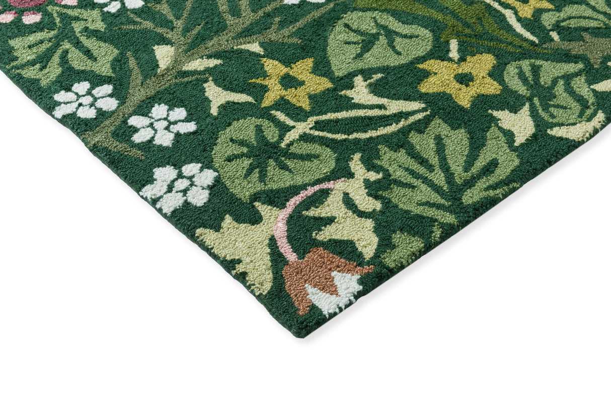 Brink & Campman In-Outdoor MOR Blackthorn-Tump outdoor 4'7 x 6'7 Rug