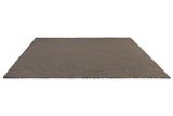 Brink & Campman Lace Grey Taupe 4'7 x 6'7 Rug