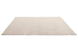 Brink & Campman Lace Sage Grey/White Sand 4'7 x 6'7 Rug