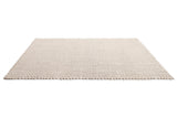 Brink & Campman Lace Sage Grey/White Sand 6'7 x 9'2 Rug