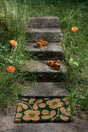 Brink & Campman Orla Kiely OR Stem Sprig Emerald 0' x 0' Rug