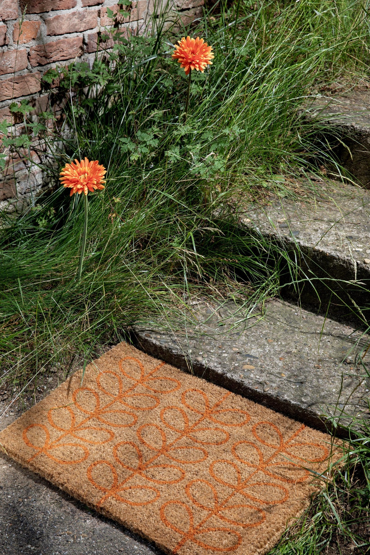 Brink & Campman Orla Kiely OR Linear Stem Tomato 0' x 0' Rug