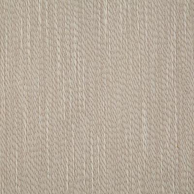 Pindler BARKER RAFFIA Fabric
