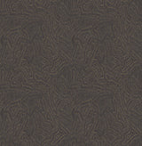 A-Street Prints Drew & Jonathan Home IV Hollenback Black Wallpaper