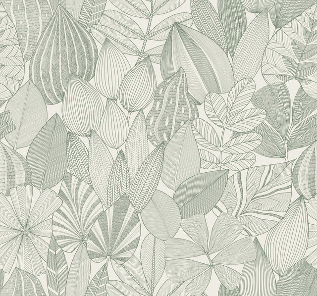 A-Street Prints Drew & Jonathan Home IV Mathias Green Wallpaper