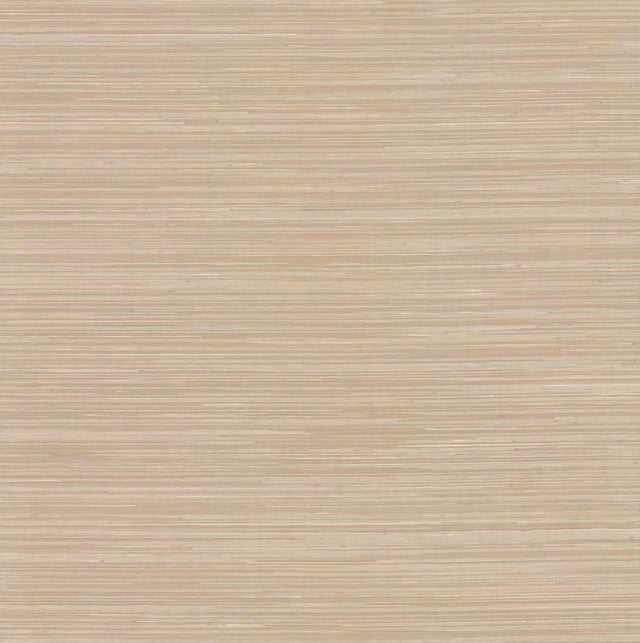 A-Street Prints Drew & Jonathan Home IV Reynier Wheat Wallpaper