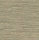 A-Street Prints Drew & Jonathan Home IV Reynier Moss Wallpaper