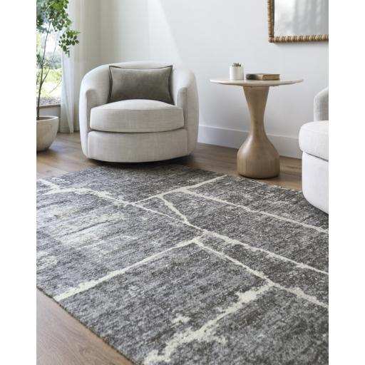 Surya Janek GAJA-2302 2' x 3' Rug