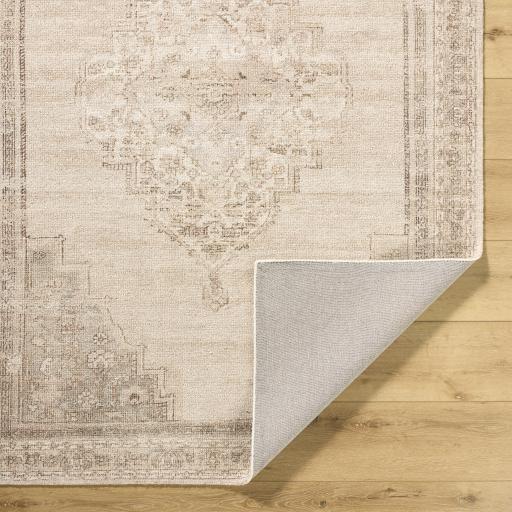 Surya Luciana GALU-2302 2' x 3' Rug