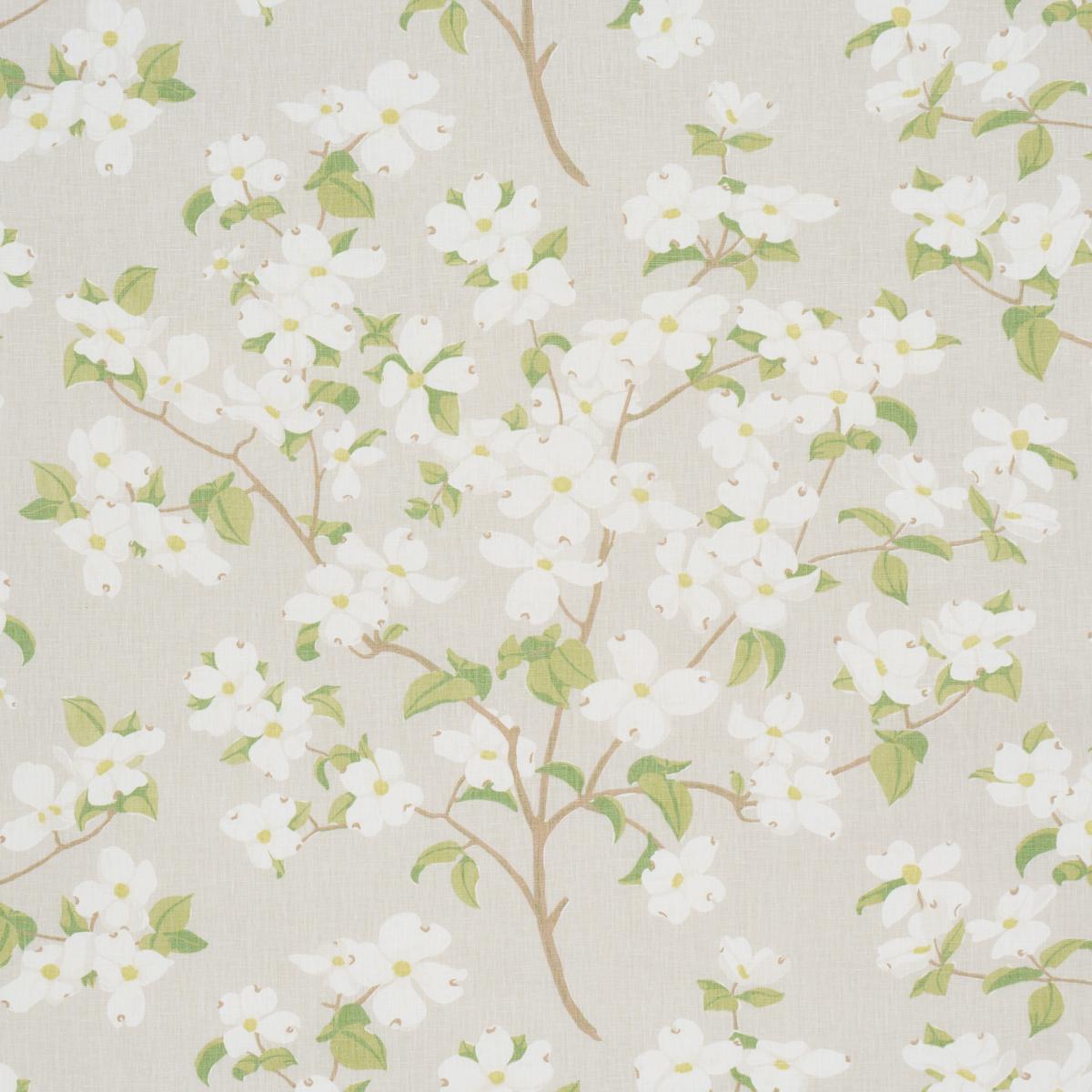 Schumacher Blooming Branch Dove Fabric